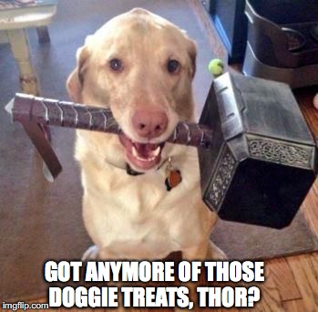 When you know it’s a useless gesture, but try it anyway | GOT ANYMORE OF THOSE DOGGIE TREATS, THOR? | image tagged in thor,dog,hammer | made w/ Imgflip meme maker
