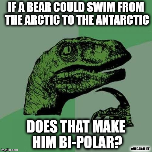Philosoraptor | IF A BEAR COULD SWIM FROM THE ARCTIC TO THE ANTARCTIC; DOES THAT MAKE HIM BI-POLAR? #VEGAN4LIFE | image tagged in memes,philosoraptor | made w/ Imgflip meme maker