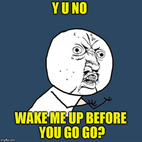 Y U No Meme | Y U NO WAKE ME UP BEFORE YOU GO GO? | image tagged in memes,y u no | made w/ Imgflip meme maker