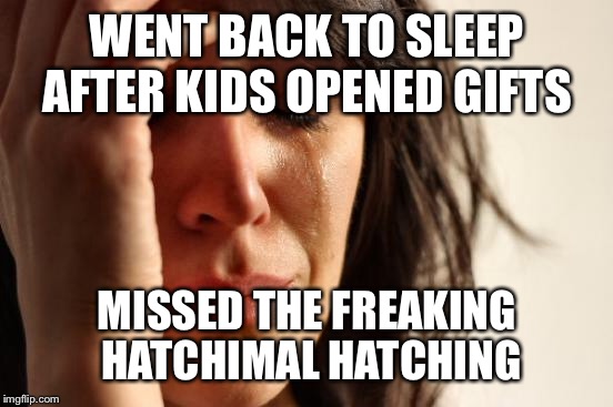 First World Problems Meme | WENT BACK TO SLEEP AFTER KIDS OPENED GIFTS MISSED THE FREAKING HATCHIMAL HATCHING | image tagged in memes,first world problems | made w/ Imgflip meme maker