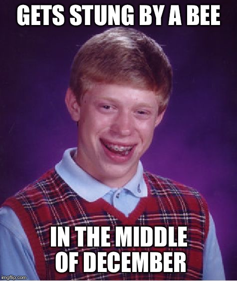 Bad Luck Brian Meme | GETS STUNG BY A BEE; IN THE MIDDLE OF DECEMBER | image tagged in memes,bad luck brian | made w/ Imgflip meme maker