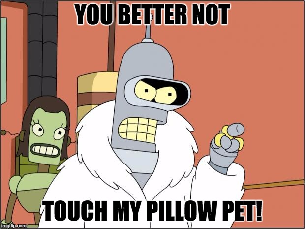 Bender | YOU BETTER NOT; TOUCH MY PILLOW PET! | image tagged in memes,bender | made w/ Imgflip meme maker