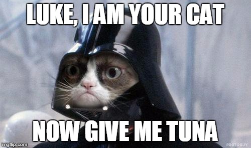 Grumpy Cat Star Wars | LUKE, I AM YOUR CAT; NOW GIVE ME TUNA | image tagged in memes,grumpy cat star wars,grumpy cat | made w/ Imgflip meme maker