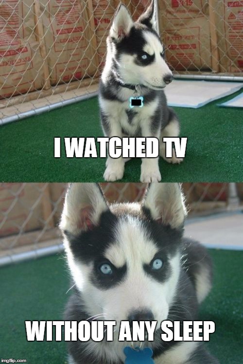 Insanity Puppy Meme | I WATCHED TV; WITHOUT ANY SLEEP | image tagged in memes,insanity puppy | made w/ Imgflip meme maker