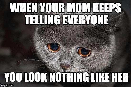 True story | WHEN YOUR MOM KEEPS TELLING EVERYONE; YOU LOOK NOTHING LIKE HER | image tagged in saddisappointedcat | made w/ Imgflip meme maker