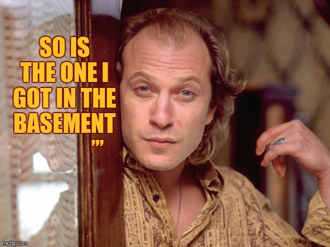 Buffalo Bill Invites You In,,, | SO IS THE ONE I GOT IN THE BASEMENT ,,, | image tagged in buffalo bill invites you in   | made w/ Imgflip meme maker