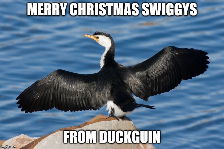 Duckguin | MERRY CHRISTMAS SWIGGYS FROM DUCKGUIN | image tagged in duckguin | made w/ Imgflip meme maker