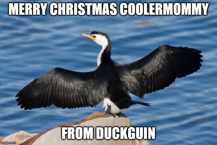 Duckguin | MERRY CHRISTMAS COOLERMOMMY; FROM DUCKGUIN | image tagged in duckguin | made w/ Imgflip meme maker