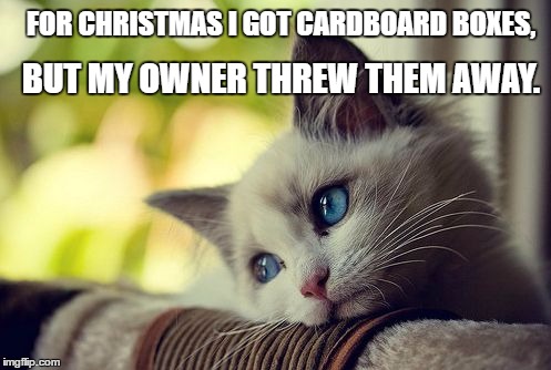 First World Problems Cat | BUT MY OWNER THREW THEM AWAY. FOR CHRISTMAS I GOT CARDBOARD BOXES, | image tagged in memes,first world problems cat | made w/ Imgflip meme maker