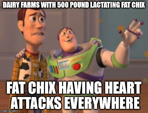 X, X Everywhere Meme | DAIRY FARMS WITH 500 POUND LACTATING FAT CHIX FAT CHIX HAVING HEART ATTACKS EVERYWHERE | image tagged in memes,x x everywhere | made w/ Imgflip meme maker