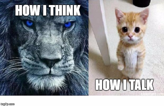 Lions | HOW I THINK; HOW I TALK | image tagged in lions | made w/ Imgflip meme maker