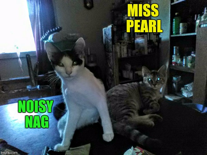 MISS PEARL NOISY NAG | made w/ Imgflip meme maker