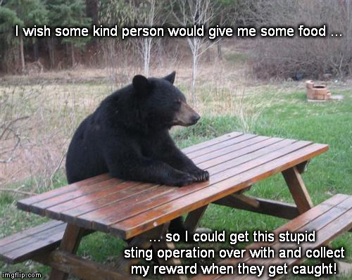 One Fine Day in the Park | I wish some kind person would give me some food ... ... so I could get this stupid sting operation over with and collect my reward when they get caught! | image tagged in memes,bad luck bear | made w/ Imgflip meme maker