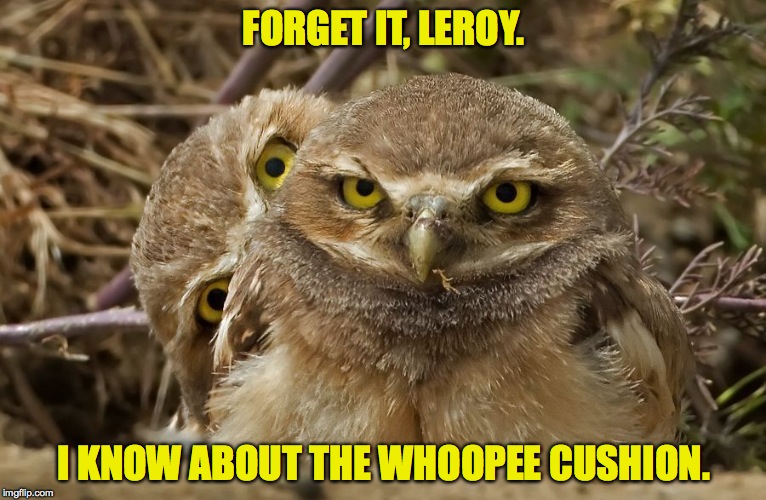 owls | FORGET IT, LEROY. I KNOW ABOUT THE WHOOPEE CUSHION. | image tagged in cover's blown | made w/ Imgflip meme maker