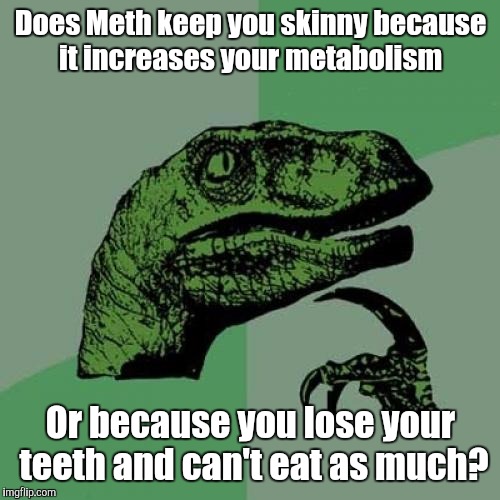 Philosoraptor Meme | Does Meth keep you skinny because it increases your metabolism Or because you lose your teeth and can't eat as much? | image tagged in memes,philosoraptor | made w/ Imgflip meme maker
