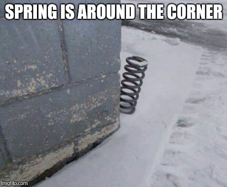 It is almost spring! | SPRING IS AROUND THE CORNER | image tagged in funny,memes | made w/ Imgflip meme maker
