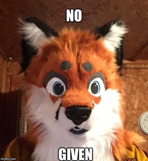 image tagged in furry,furries,fursuit,cosplay,haters | made w/ Imgflip meme maker