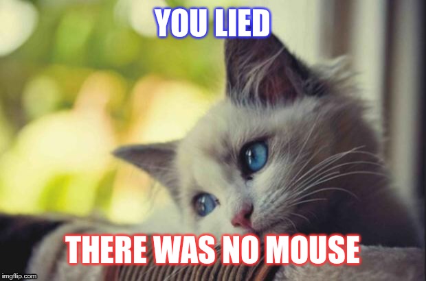 Sad cat | YOU LIED; THERE WAS NO MOUSE | image tagged in sad cat | made w/ Imgflip meme maker