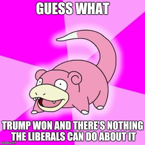 Slowpoke Meme | GUESS WHAT; TRUMP WON AND THERE'S NOTHING THE LIBERALS CAN DO ABOUT IT | image tagged in memes,slowpoke | made w/ Imgflip meme maker