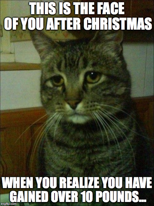 Please tell me I am not the only one? Merry Late Christmas though... ;) | THIS IS THE FACE OF YOU AFTER CHRISTMAS; WHEN YOU REALIZE YOU HAVE GAINED OVER 10 POUNDS... | image tagged in memes,depressed cat,thebestmememakerever,christmas,fat,gaining weight | made w/ Imgflip meme maker