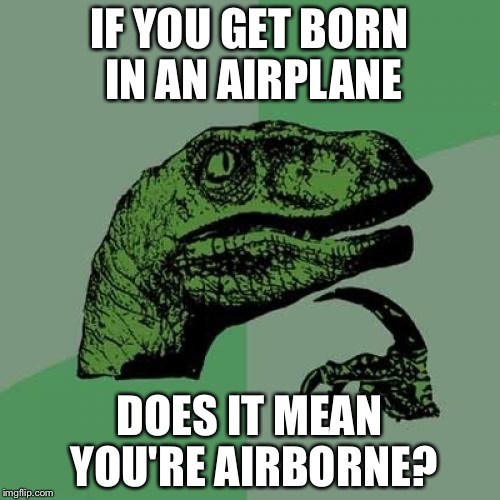 Philosoraptor | IF YOU GET BORN IN AN AIRPLANE; DOES IT MEAN YOU'RE AIRBORNE? | image tagged in memes,philosoraptor | made w/ Imgflip meme maker