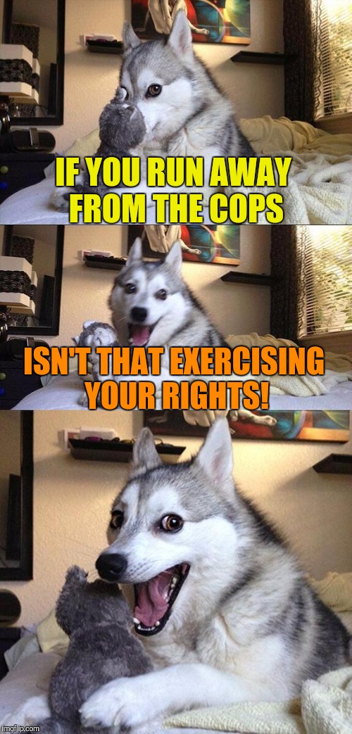 Bad Pun Dog Meme | IF YOU RUN AWAY FROM THE COPS; ISN'T THAT EXERCISING YOUR RIGHTS! | image tagged in memes,bad pun dog | made w/ Imgflip meme maker