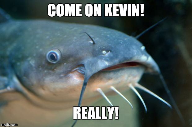 Catfish Catfish  | COME ON KEVIN! REALLY! | image tagged in catfish catfish | made w/ Imgflip meme maker