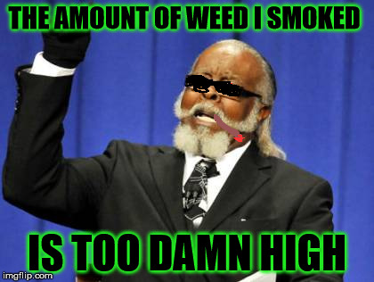 ya like the devils grass? | THE AMOUNT OF WEED I SMOKED; IS TOO DAMN HIGH | image tagged in memes,too damn high,weed,thug life | made w/ Imgflip meme maker