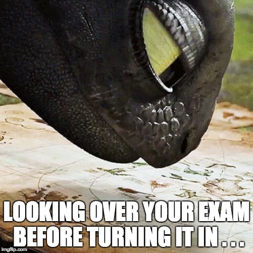 LOOKING OVER YOUR EXAM BEFORE TURNING IT IN . . . | image tagged in how to train your dragon,toothless | made w/ Imgflip meme maker