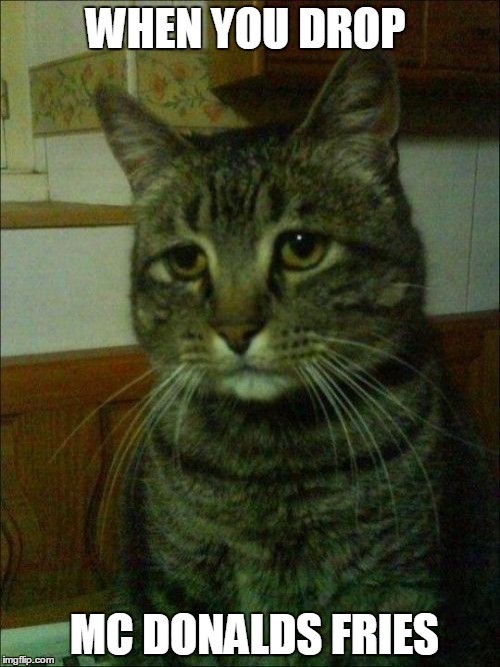 Depressed Cat Meme | WHEN YOU DROP; MC DONALDS FRIES | image tagged in memes,depressed cat,mc donalds,fries,funny,depression | made w/ Imgflip meme maker