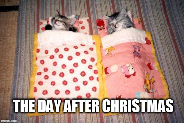The Day After Christmas | THE DAY AFTER CHRISTMAS | image tagged in the day after,christmas,sleeping,kittens | made w/ Imgflip meme maker