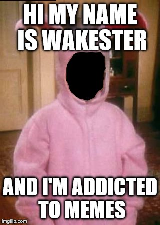 HI MY NAME IS WAKESTER AND I'M ADDICTED TO MEMES | made w/ Imgflip meme maker