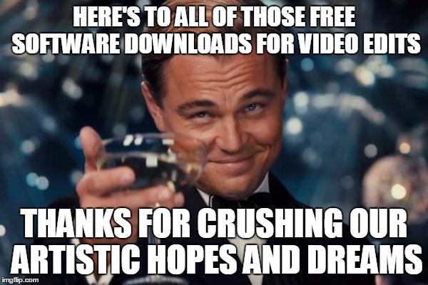 Leonardo Dicaprio Cheers Meme | HERE'S TO ALL OF THOSE FREE SOFTWARE DOWNLOADS FOR VIDEO EDITS; THANKS FOR CRUSHING OUR ARTISTIC HOPES AND DREAMS | image tagged in memes,leonardo dicaprio cheers | made w/ Imgflip meme maker