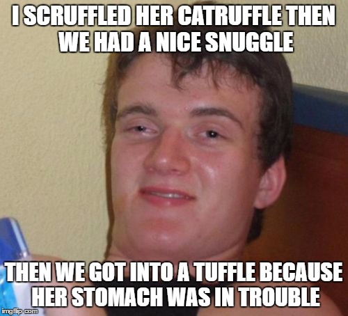 a nice poem by mahself
(based on real events!) | I SCRUFFLED HER CATRUFFLE
THEN WE HAD A NICE SNUGGLE; THEN WE GOT INTO A TUFFLE
BECAUSE HER STOMACH WAS IN TROUBLE | image tagged in memes,10 guy | made w/ Imgflip meme maker