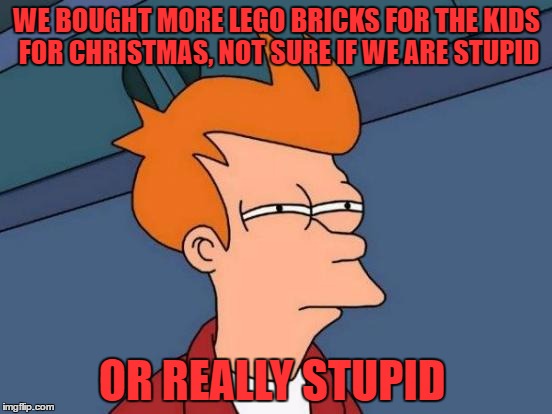 Futurama Fry Meme | WE BOUGHT MORE LEGO BRICKS FOR THE KIDS FOR CHRISTMAS, NOT SURE IF WE ARE STUPID; OR REALLY STUPID | image tagged in memes,futurama fry | made w/ Imgflip meme maker