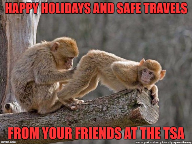 good news you're unarmed bad news i think i felt something. i'd like you to take another flight in 2 weeks so i can check on it  | HAPPY HOLIDAYS AND SAFE TRAVELS; FROM YOUR FRIENDS AT THE TSA | image tagged in monkey | made w/ Imgflip meme maker