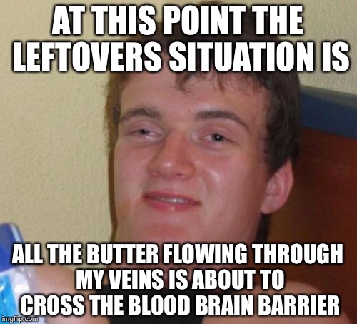 10 Guy Meme | AT THIS POINT THE LEFTOVERS SITUATION IS; ALL THE BUTTER FLOWING THROUGH MY VEINS IS ABOUT TO CROSS THE BLOOD BRAIN BARRIER | image tagged in memes,10 guy | made w/ Imgflip meme maker