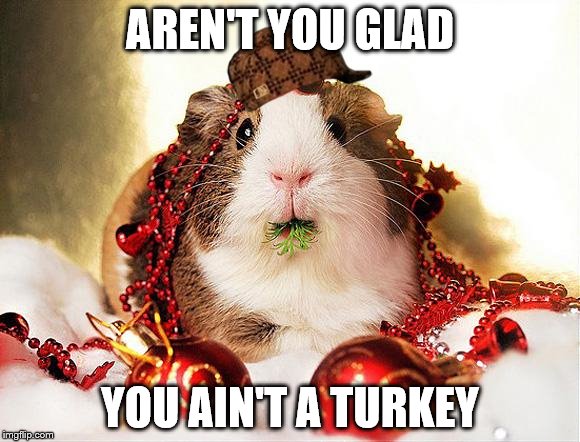 christmas | AREN'T YOU GLAD; YOU AIN'T A TURKEY | image tagged in christmas,scumbag | made w/ Imgflip meme maker