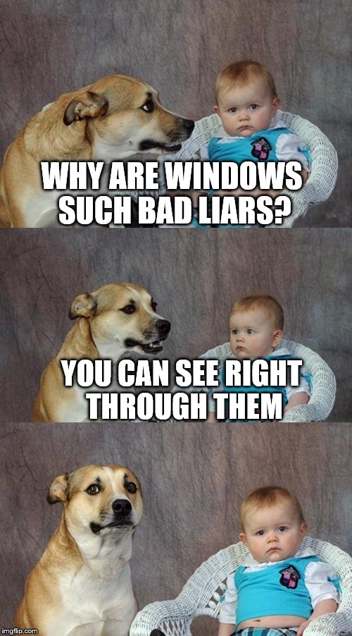 Dad Joke Dog | WHY ARE WINDOWS SUCH BAD LIARS? YOU CAN SEE RIGHT THROUGH THEM | image tagged in memes,dad joke dog | made w/ Imgflip meme maker