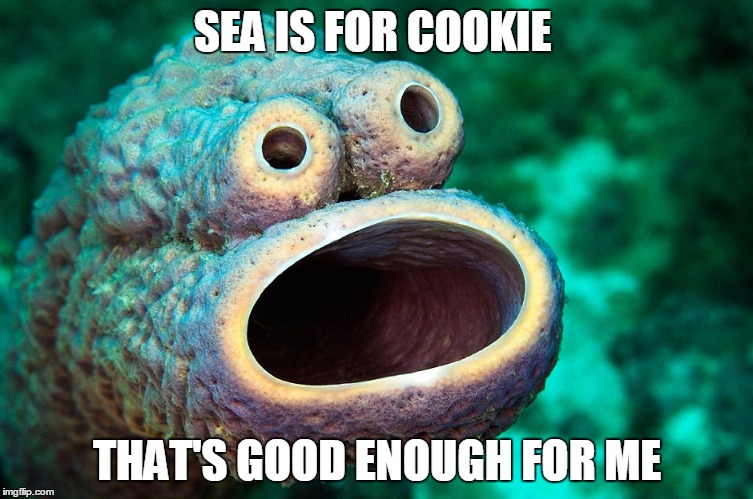 Sea Cookie Monster | SEA IS FOR COOKIE; THAT'S GOOD ENOUGH FOR ME | image tagged in cookie monster | made w/ Imgflip meme maker
