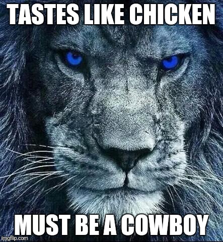 detroit lions | TASTES LIKE CHICKEN; MUST BE A COWBOY | image tagged in detroit lions | made w/ Imgflip meme maker