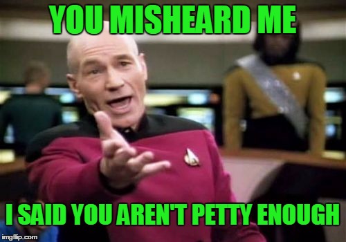 Picard Wtf Meme | YOU MISHEARD ME I SAID YOU AREN'T PETTY ENOUGH | image tagged in memes,picard wtf | made w/ Imgflip meme maker