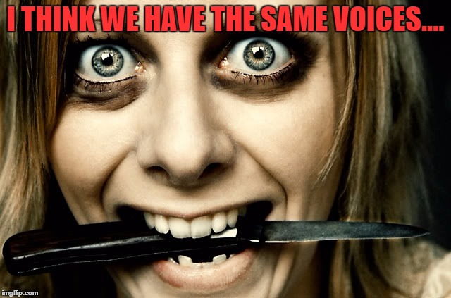 Violently Obsessed Girlfriend  | I THINK WE HAVE THE SAME VOICES.... | image tagged in violently obsessed girlfriend | made w/ Imgflip meme maker