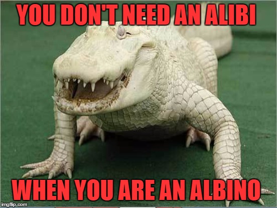 YOU DON'T NEED AN ALIBI WHEN YOU ARE AN ALBINO | made w/ Imgflip meme maker