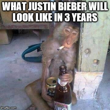 Drunken Ass monkey | WHAT JUSTIN BIEBER WILL LOOK LIKE IN 3 YEARS | image tagged in drunken ass monkey | made w/ Imgflip meme maker
