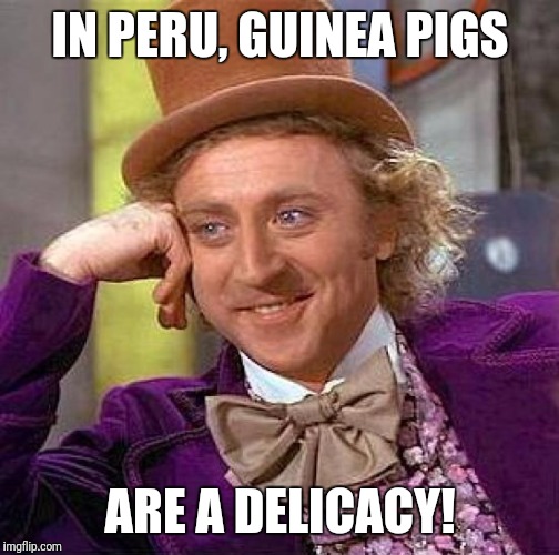 Creepy Condescending Wonka Meme | IN PERU, GUINEA PIGS ARE A DELICACY! | image tagged in memes,creepy condescending wonka | made w/ Imgflip meme maker