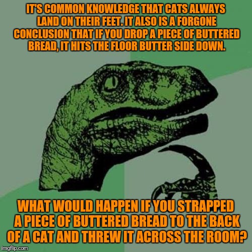 Would it Hover? | IT'S COMMON KNOWLEDGE THAT CATS ALWAYS LAND ON THEIR FEET. IT ALSO IS A FORGONE CONCLUSION THAT IF YOU DROP A PIECE OF BUTTERED BREAD, IT HITS THE FLOOR BUTTER SIDE DOWN. WHAT WOULD HAPPEN IF YOU STRAPPED A PIECE OF BUTTERED BREAD TO THE BACK OF A CAT AND THREW IT ACROSS THE ROOM? | image tagged in memes,philosoraptor,cats,joke,philosophical,murphy's law | made w/ Imgflip meme maker