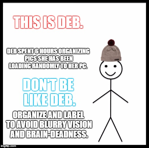 Be Like Bill Meme | THIS IS DEB. DEB SPENT 6 HOURS ORGANIZING PICS SHE HAS BEEN LOADING RANDOMLY TO HER PC. DON'T BE LIKE DEB. ORGANIZE AND LABEL TO AVOID BLURRY VISION AND BRAIN-DEADNESS. | image tagged in memes,be like bill | made w/ Imgflip meme maker