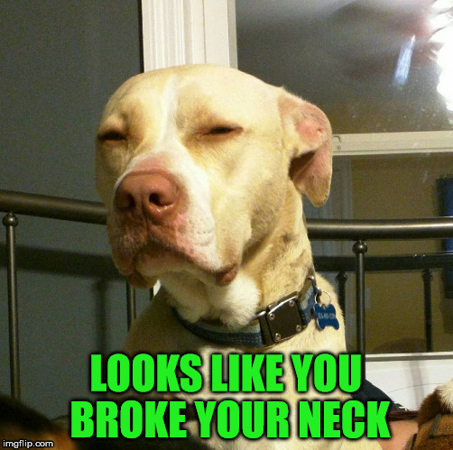 LOOKS LIKE YOU BROKE YOUR NECK | made w/ Imgflip meme maker