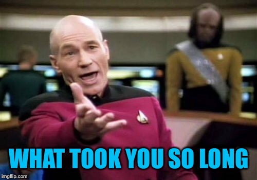 Picard Wtf Meme | WHAT TOOK YOU SO LONG | image tagged in memes,picard wtf | made w/ Imgflip meme maker